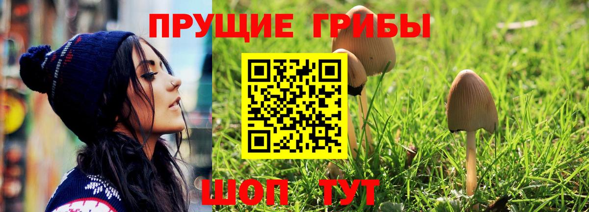Таганрог  Псилоцибиновые грибы ЛСД  Вход с VPN  Псилоцибиновые грибы прущие грибы 